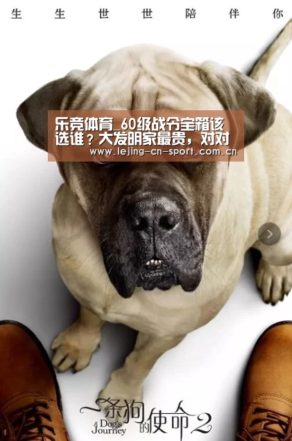 乐竞体育